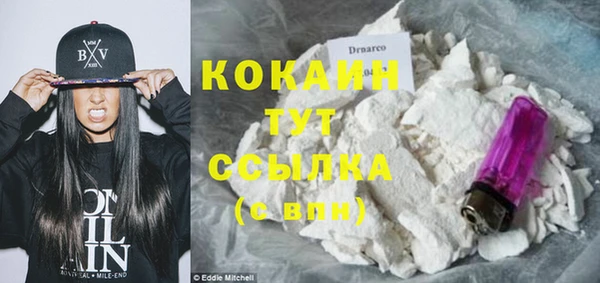 тгк Михайлов