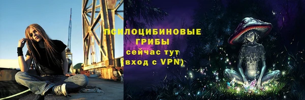 тгк Михайлов