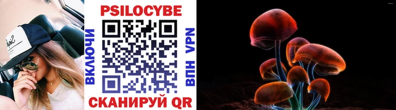 Купить  Перевоз  Галлюциногенные грибы GOLDEN TEACHER 